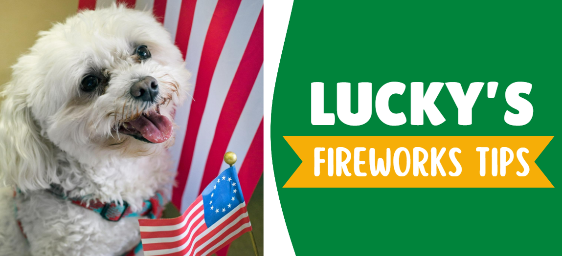 The Ultimate Guide to Keeping Your Dog Calm During Fireworks