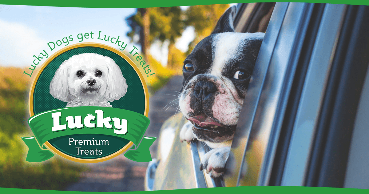 Traveling Tips For You and Your Dog - Lucky Premium Treats