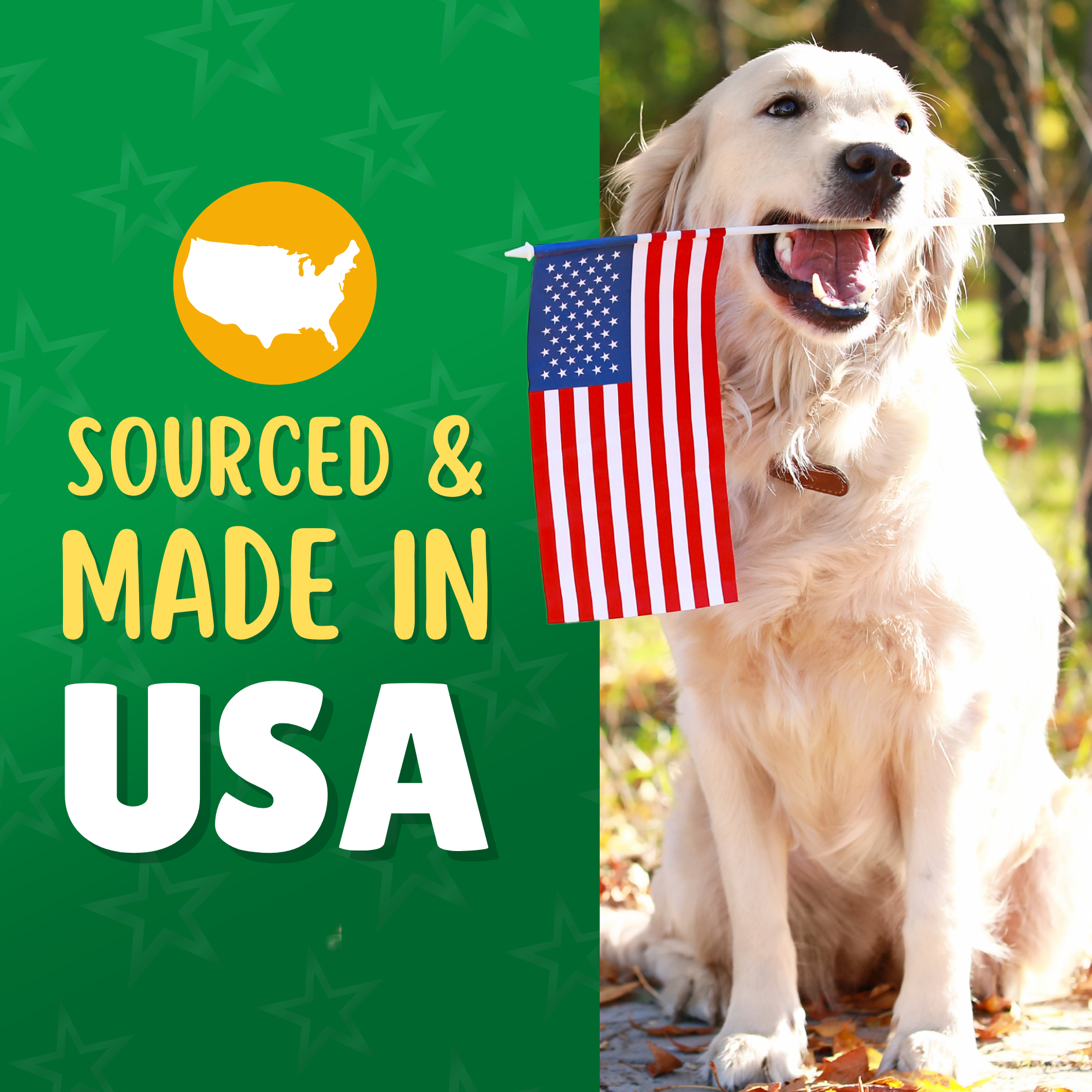 Dehydrated Dog Treats 101: The Science Behind the Crunch