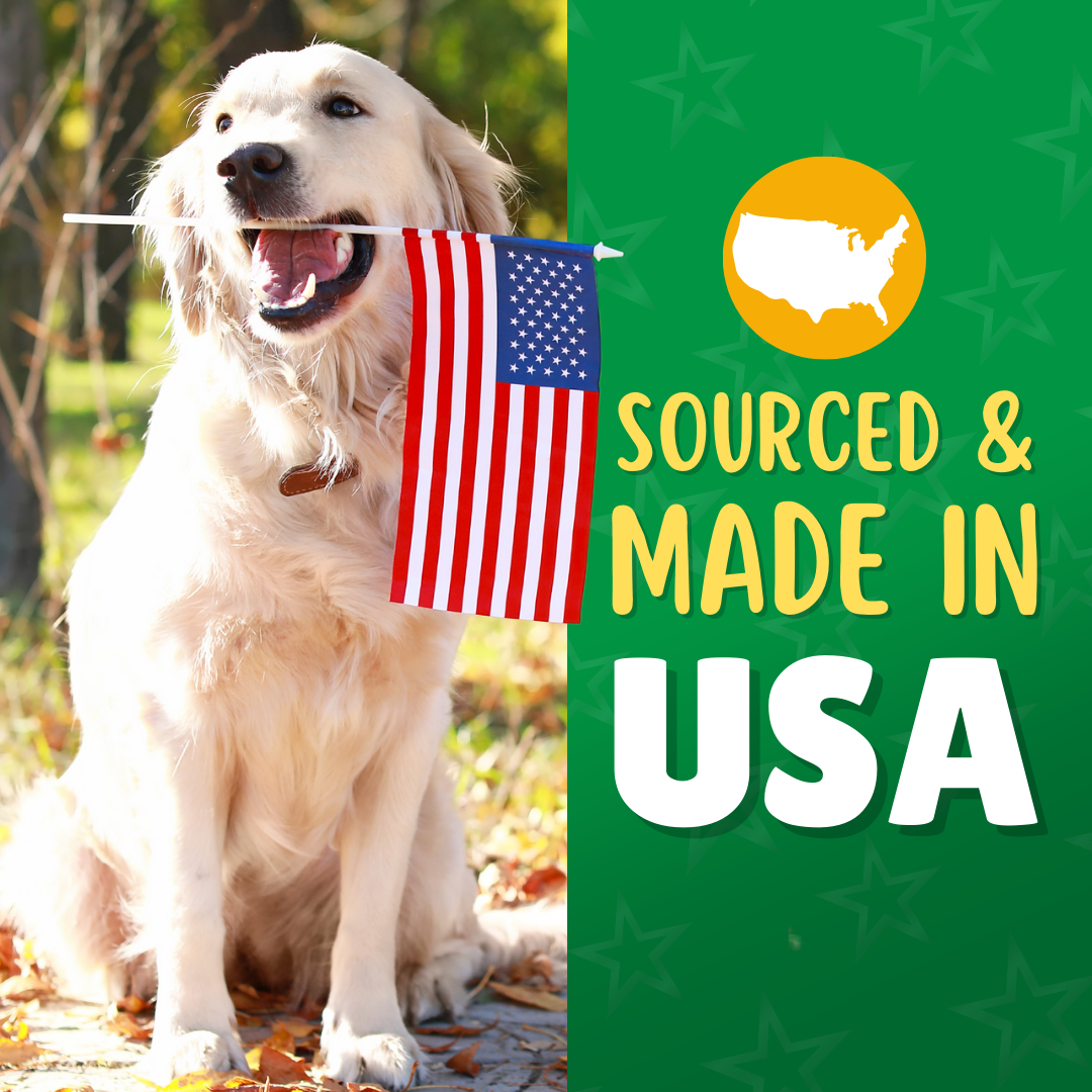 Made in USA Dog Treats: Why Source Matters for Your Furry Family Member