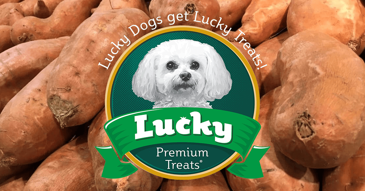 3 Reasons To Feed Your Dog Sweet Potatoes - Lucky Premium Treats