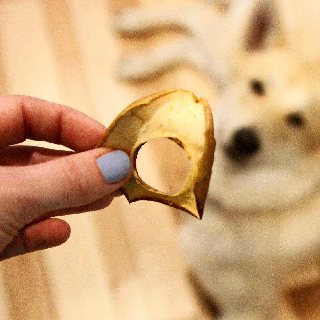 Treat Math: How Many Dog Treats Per Day Is Actually Healthy?