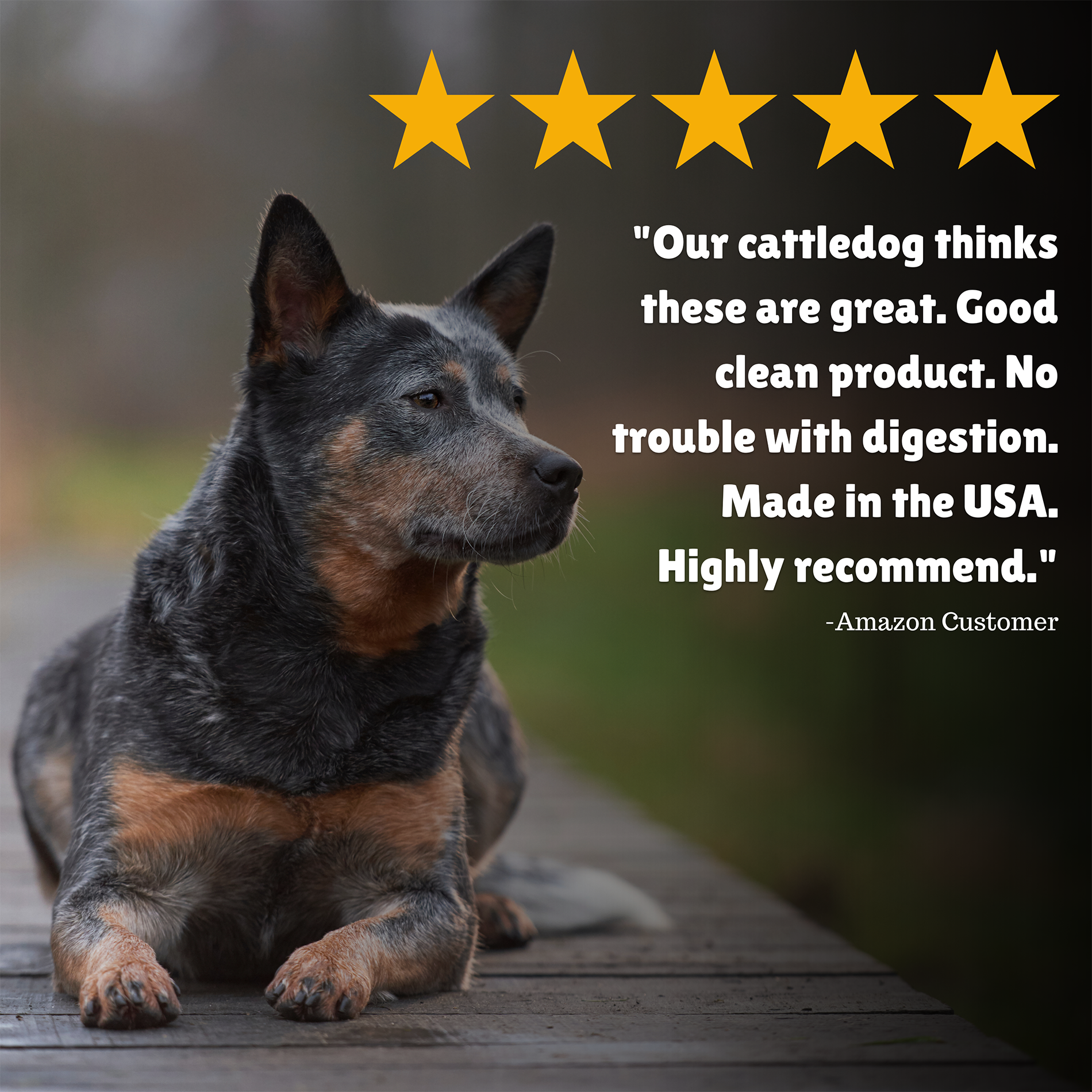 Understanding Dog Treat Nutritional Labels: A Pet Owner's Guide to Making Informed Choices