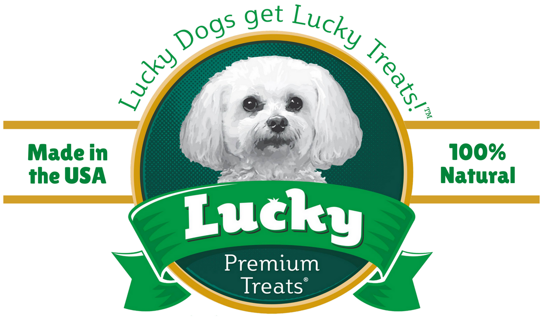 From Farm to Treat Jar: The Journey of Premium USA Made Dog Snacks