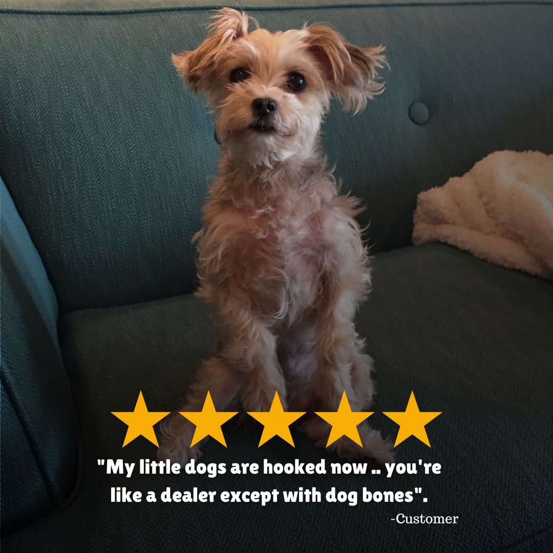 Building Trust Through Quality Dog Treats: How Premium Rewards Strengthen Your Bond