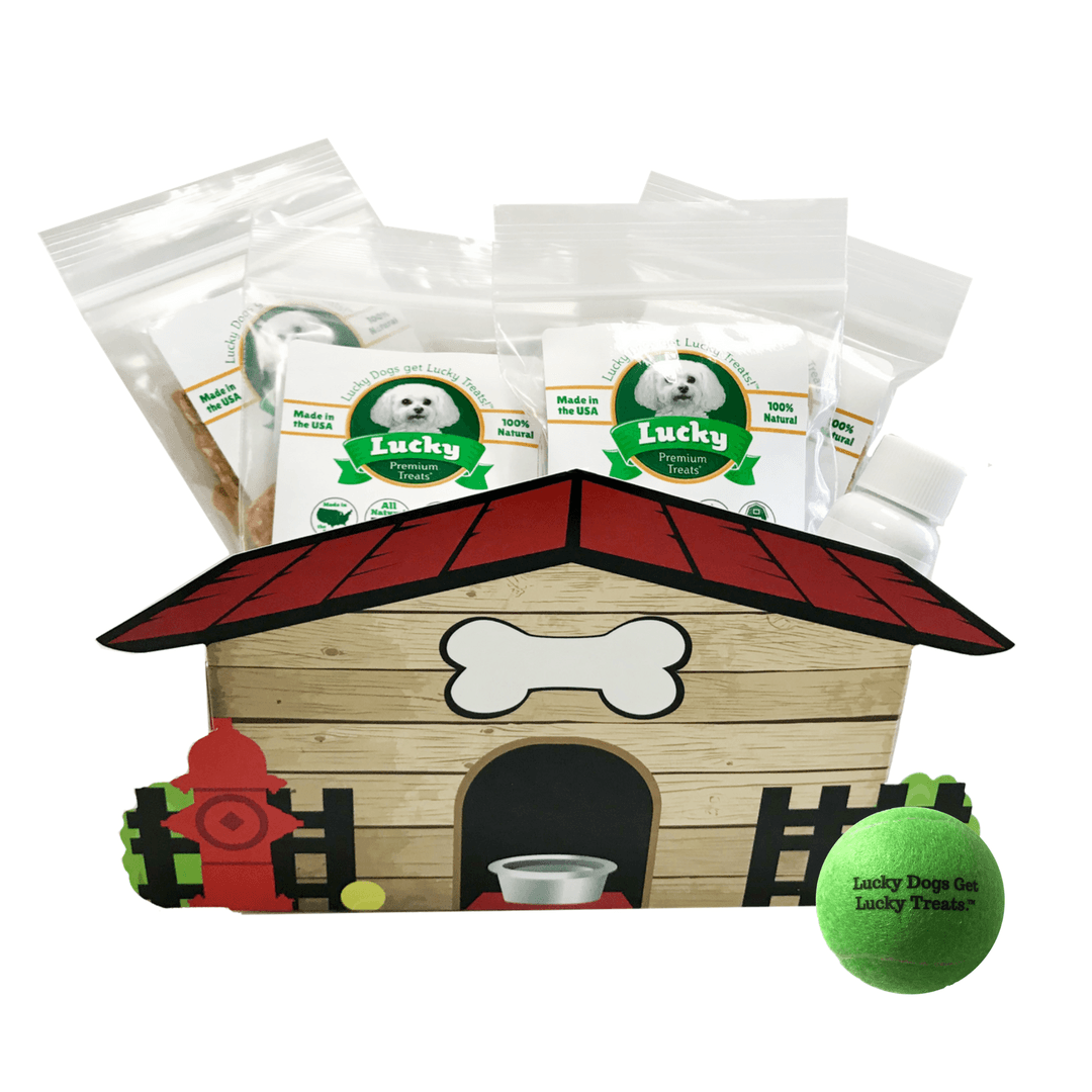 Understanding Your Dog's Treat Preferences: What Makes Them Beg for More