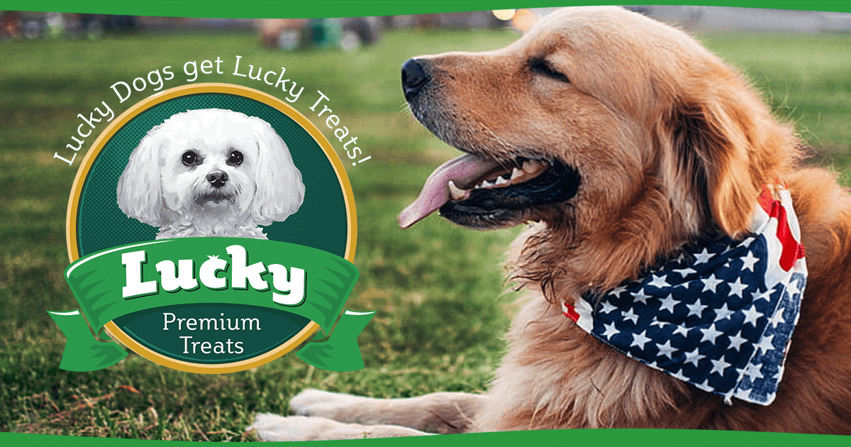 Keeping Your Dog Safe & Happy During Fireworks Season - Lucky Premium Treats