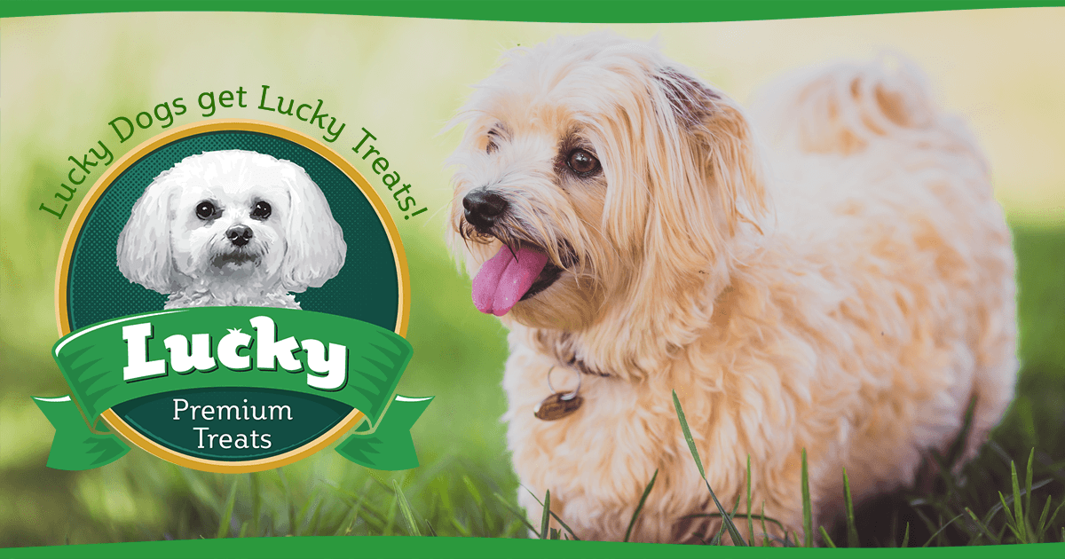 Top 10 Dog Treats Under $10 - Lucky Premium Treats