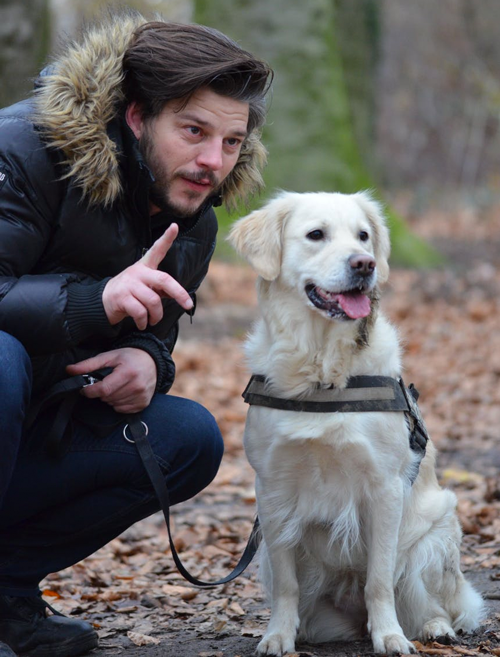 The Psychology of Dog Treat Rewards: Timing, Value, and Motivation