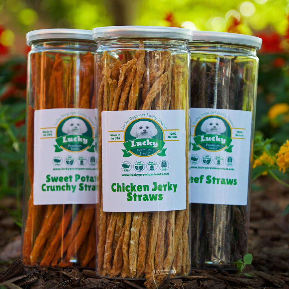 Straws - Lucky Premium Treats