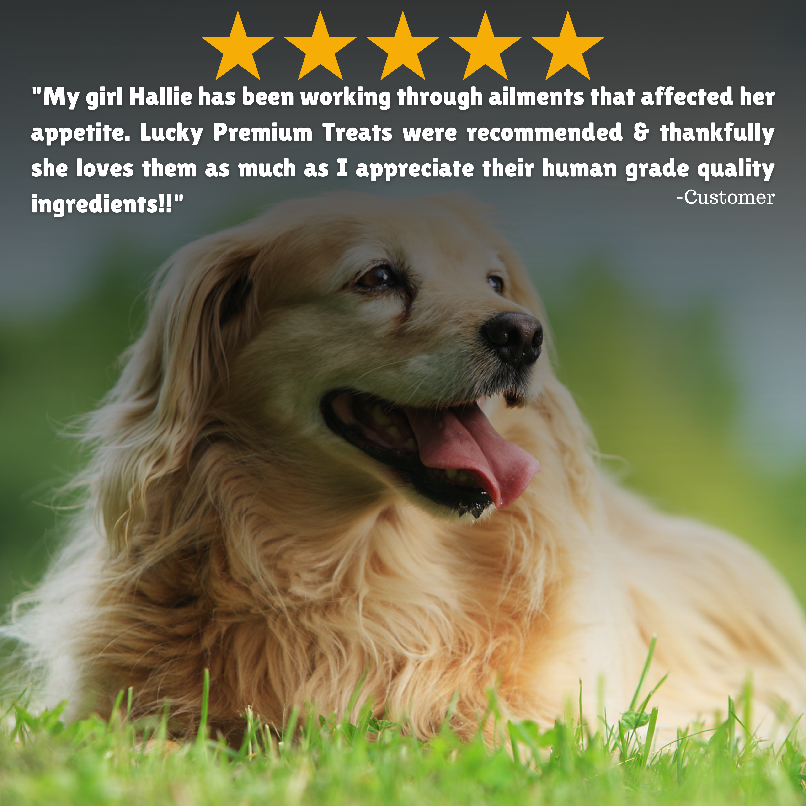 Reviews + Customer Testimony + Treats + Long lasting + Highly recommend  
