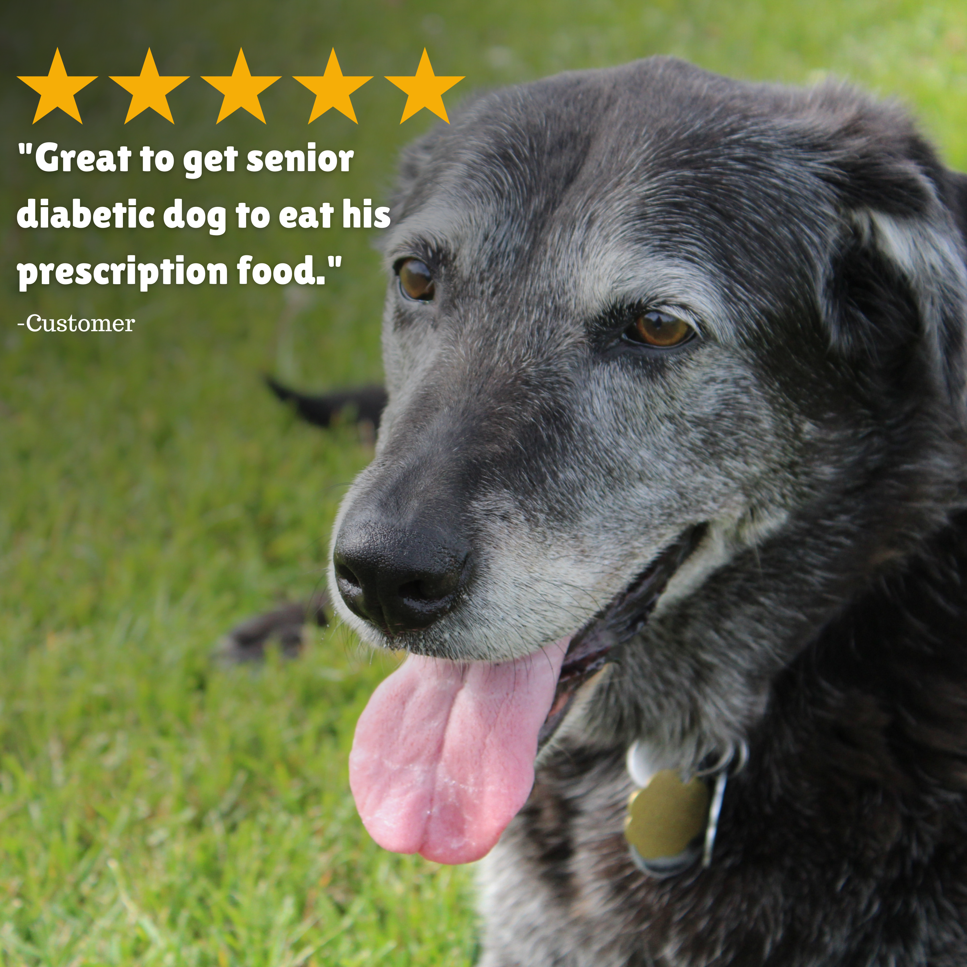  Reviews + Customer Testimony + Treats + Long lasting + Highly recommend  