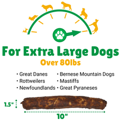 Extra Large Dogs + 80lbs (Pounds) + Great Danes + Rottweilers + Newfoundlands + Berenese Mountain Dogs + Mastiffs + Newfoundlands + Great Pyraneses 