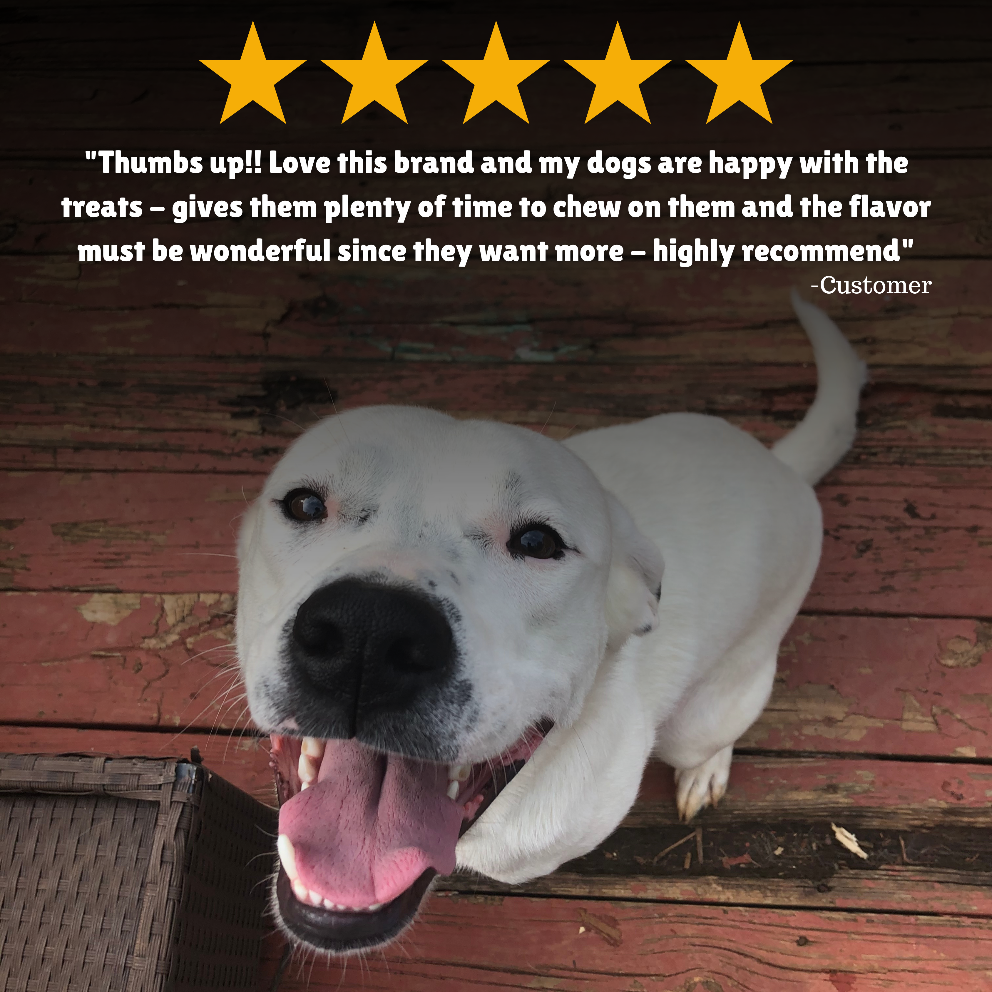Reviews + Customer Testimony + Treats + Long lasting + Highly recommend  