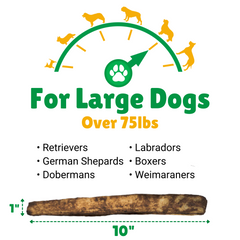 Large Dogs + 75lbs (Pounds) + Retrievers + German Shepards + Labradors + Dobermans + Boxers + Weimaraners 