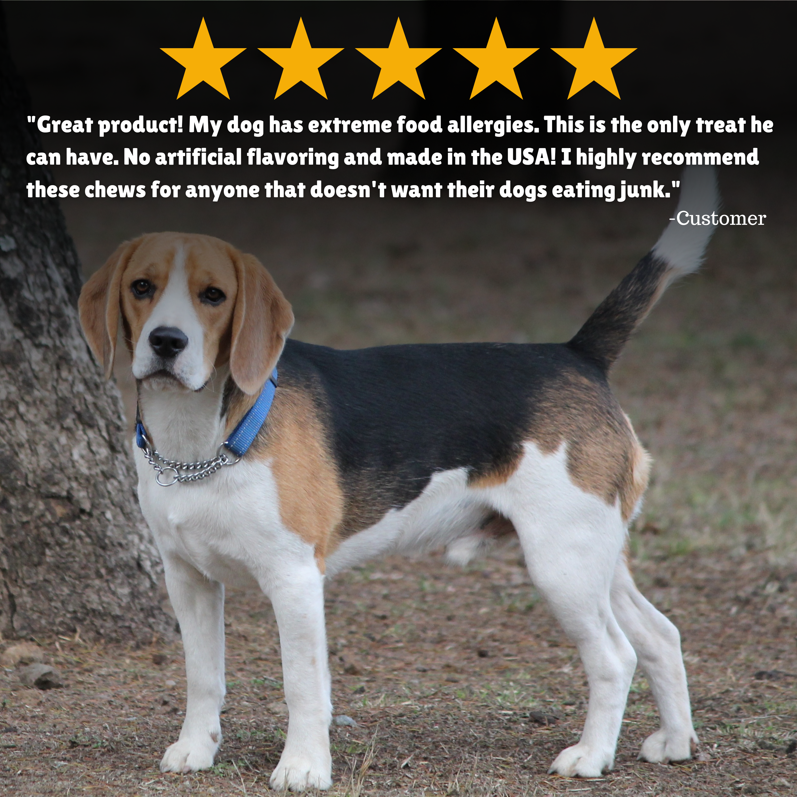 Reviews + Customer Testimony + Treats + Long lasting + Highly recommend  