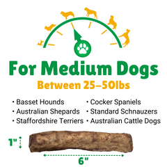 Medium Dogs + 25lbs (Pounds) + Basset Hounds + Cocker Spaniel + Standard Schnauzers + Staffordshire Terriers + Australian Cattle Dogs 