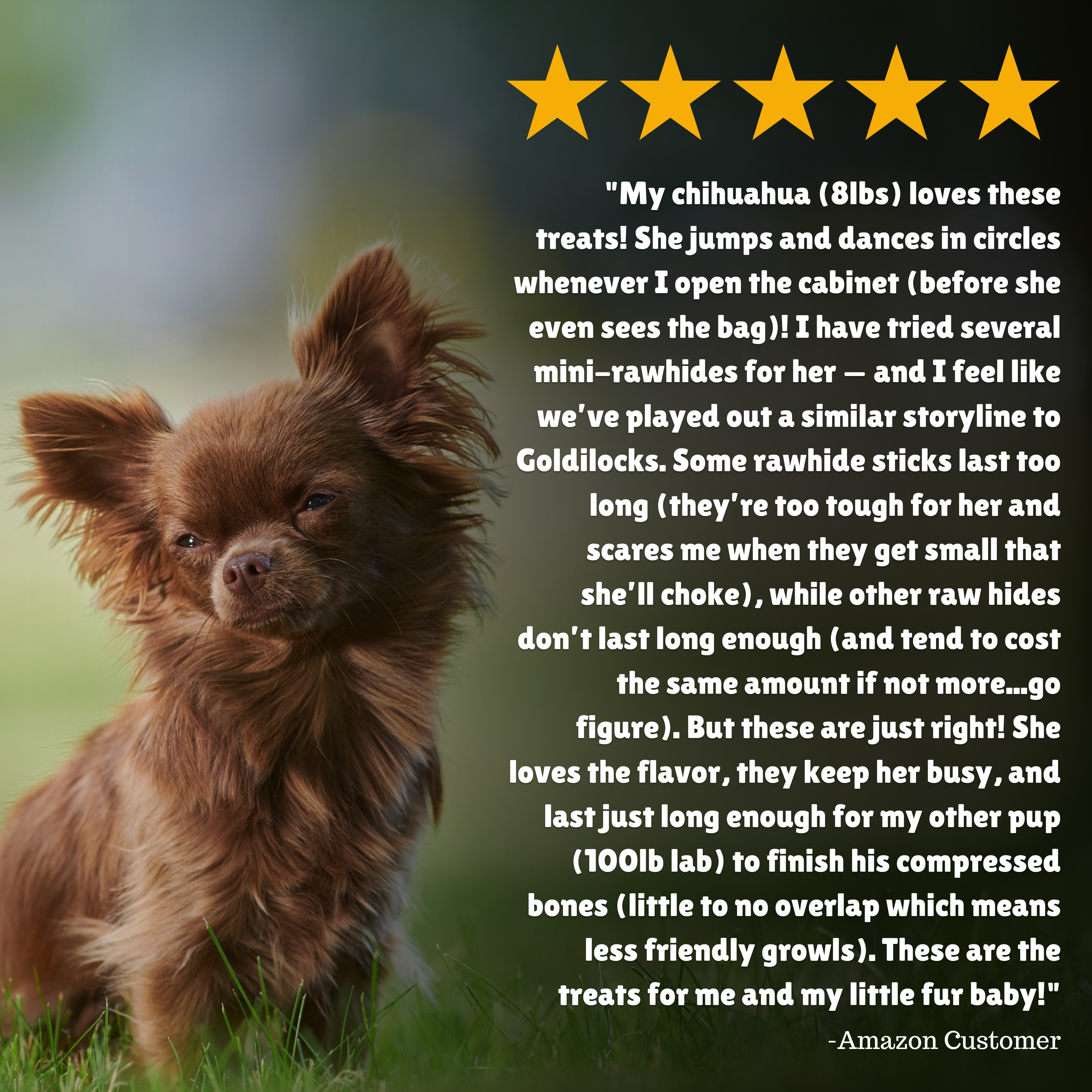Reviews + Customer Testimony + Treats + Long lasting + Highly recommend  