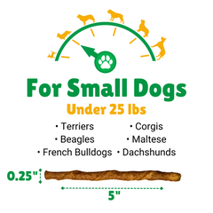 Small Dogs + Terriers + Corgis + Beagles + French Bulldogs + Corgis + Maltese + Dachshunds 