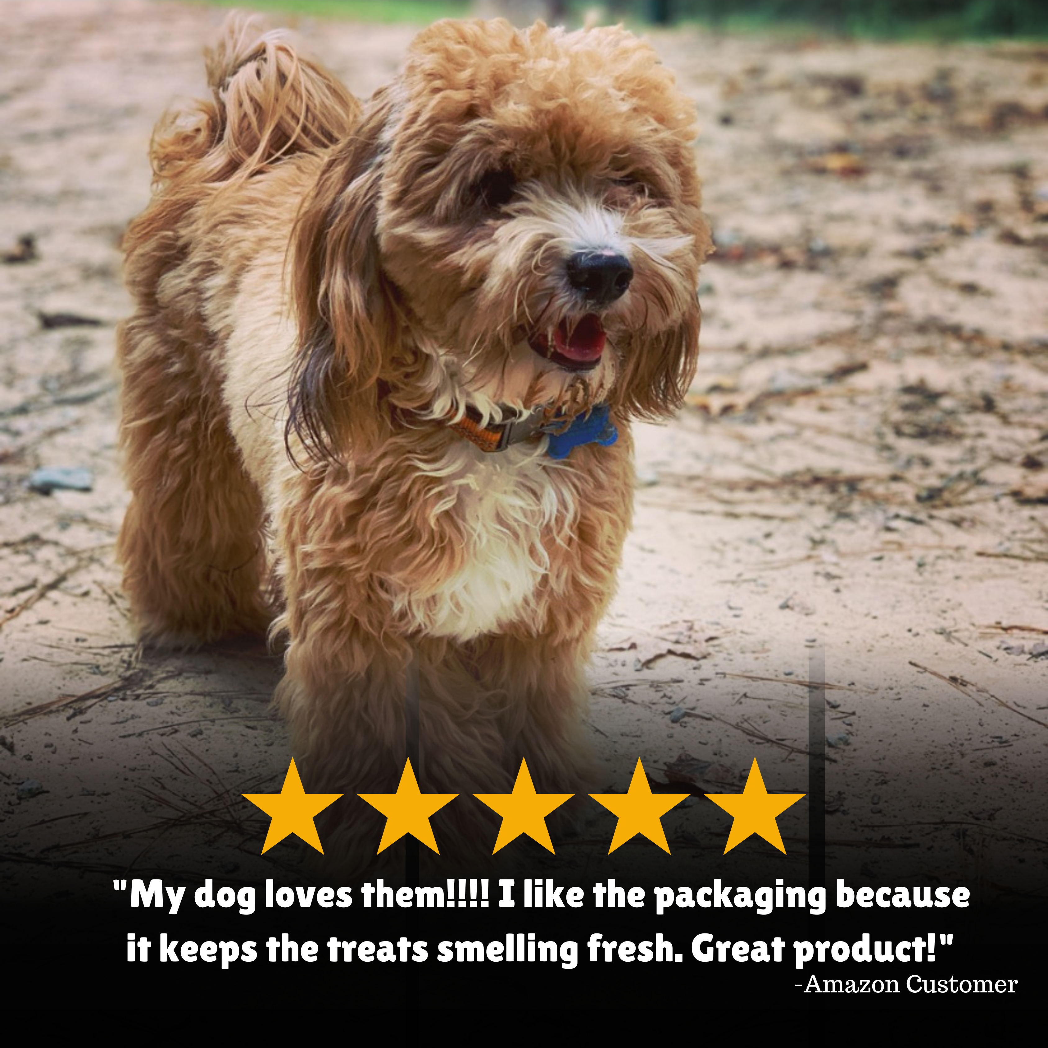 Reviews + Customer Testimony + Treats + Long lasting + Highly recommend  