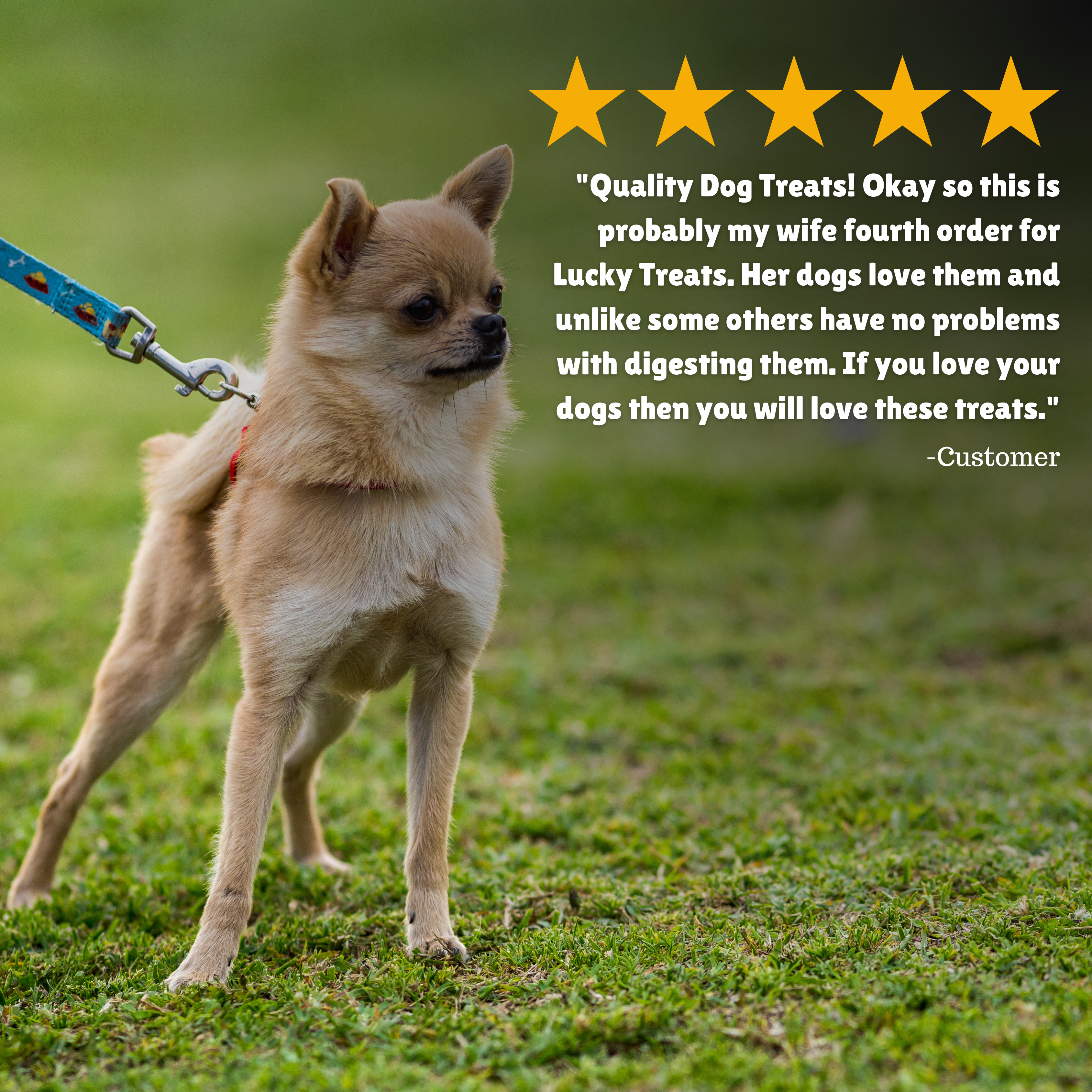 Reviews + Customer Testimony + Treats + Long lasting + Highly recommend  
