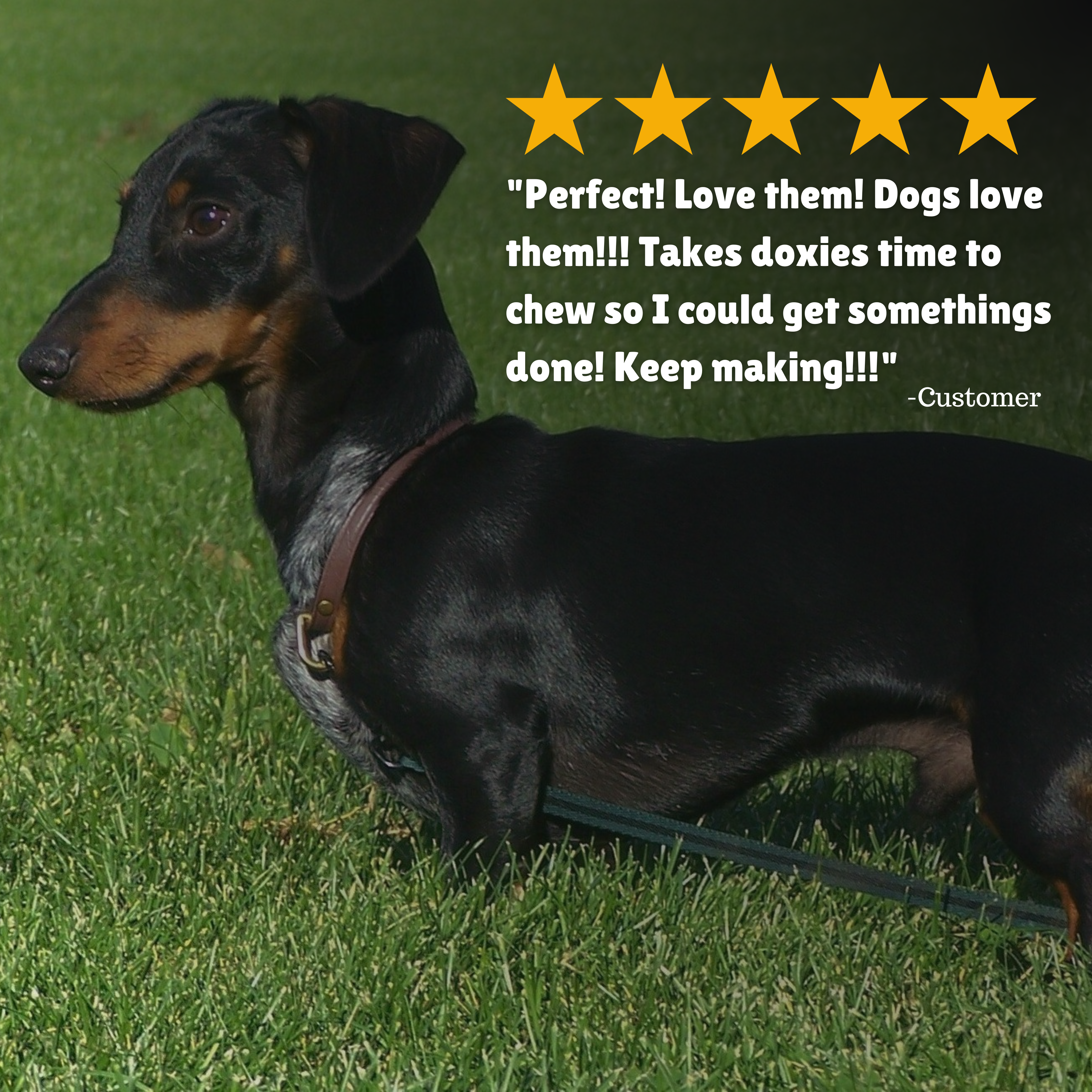 Reviews + Customer Testimony + Perfect + Long lasting