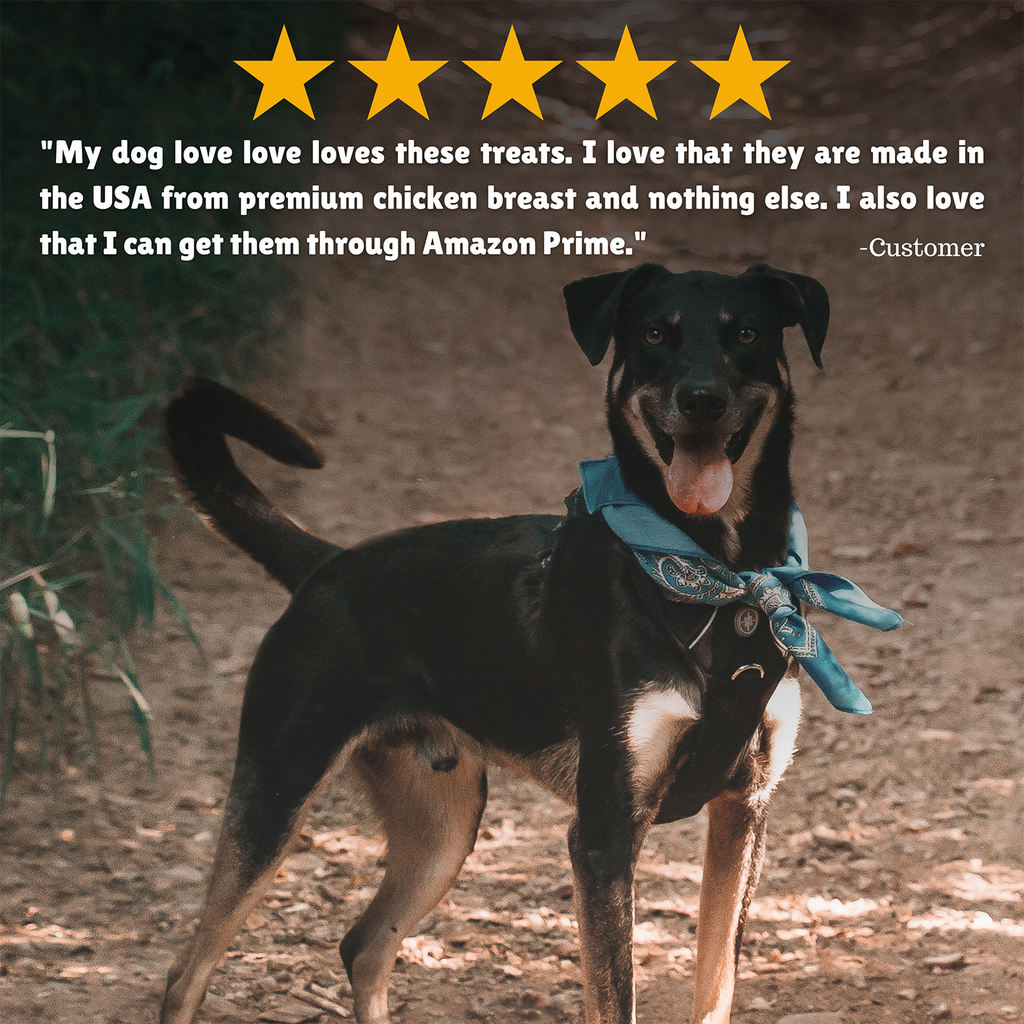 Reviews + Customer Testimony + Treats + Long lasting + Highly recommend  