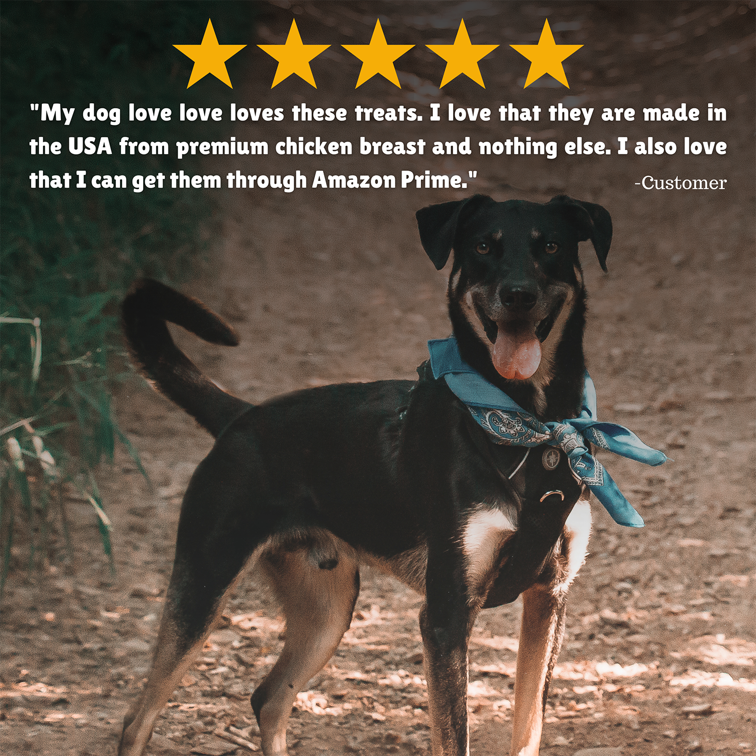 Reviews + Customer Testimony + Treats + Long lasting + Highly recommend  