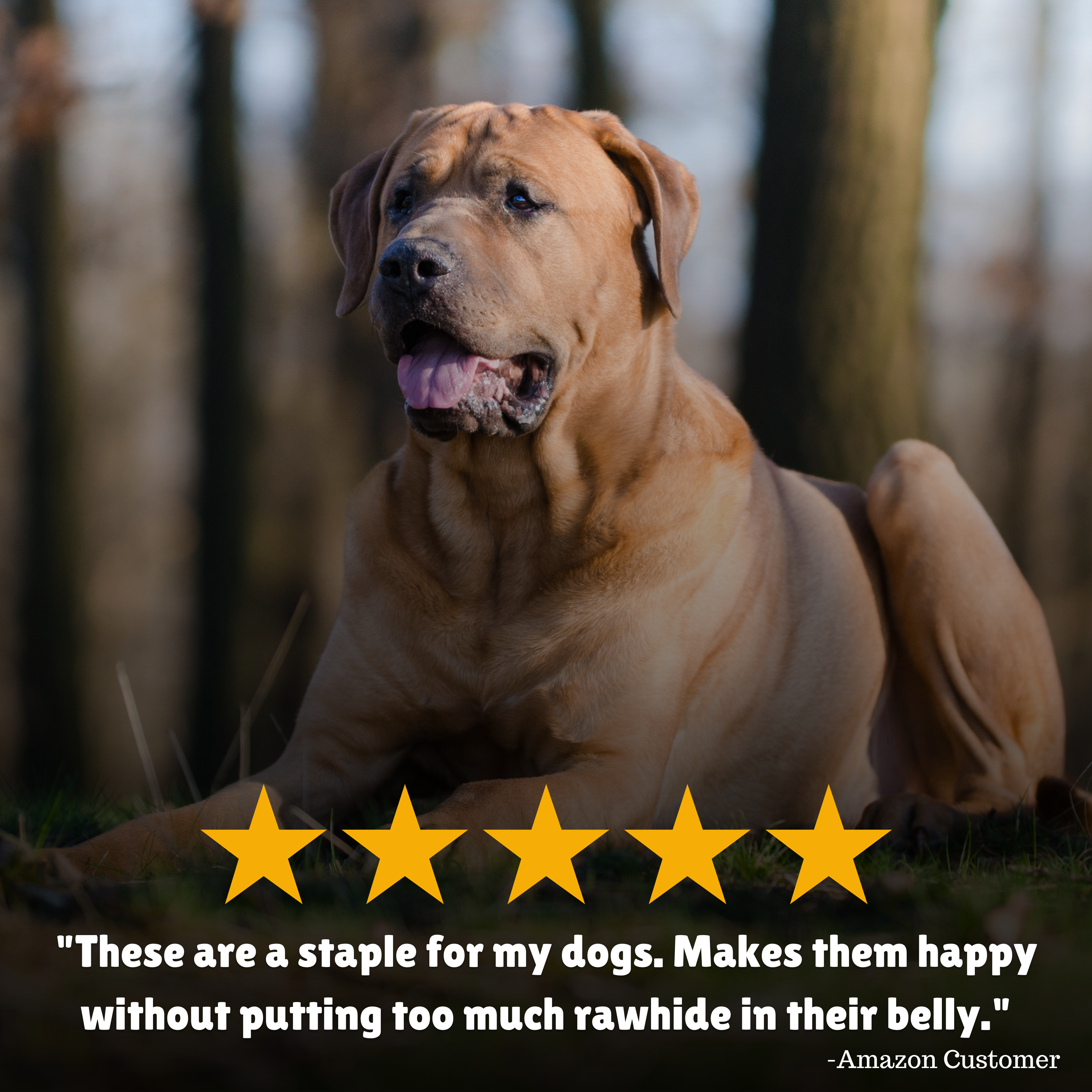 Reviews + Customer Testimony + Treats + Long lasting + Highly recommend  