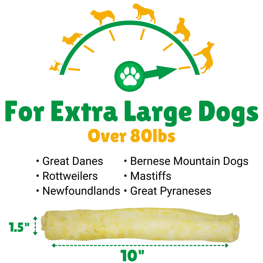 Extra Large Dogs + 80lbs (Pounds) + Great Danes + Rottweilers + Newfoundlands + Berenese Mountain Dogs + Mastiffs + Newfoundlands + Great Pyraneses 