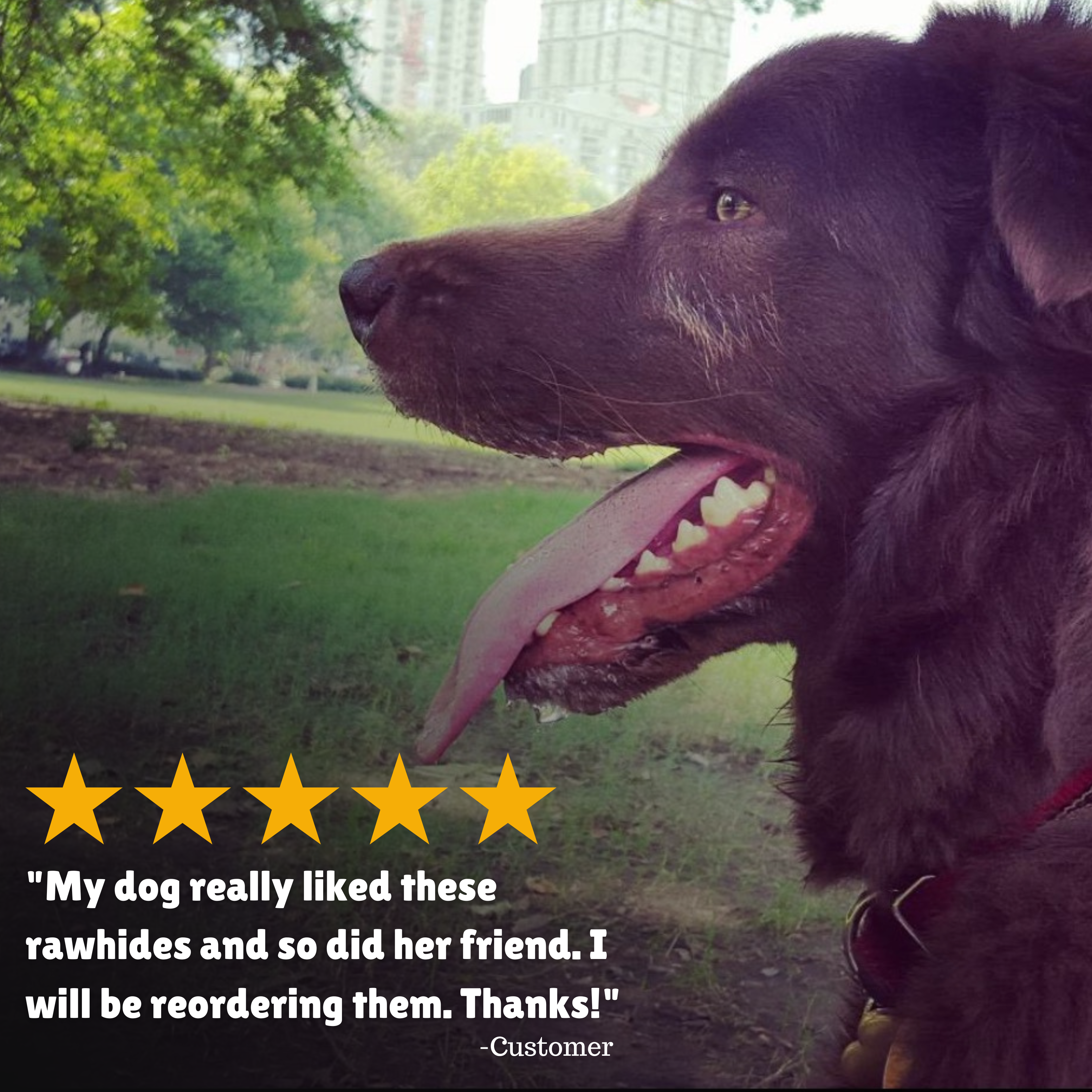 Reviews + Customer Testimony + Treats + Long lasting + Highly recommend  