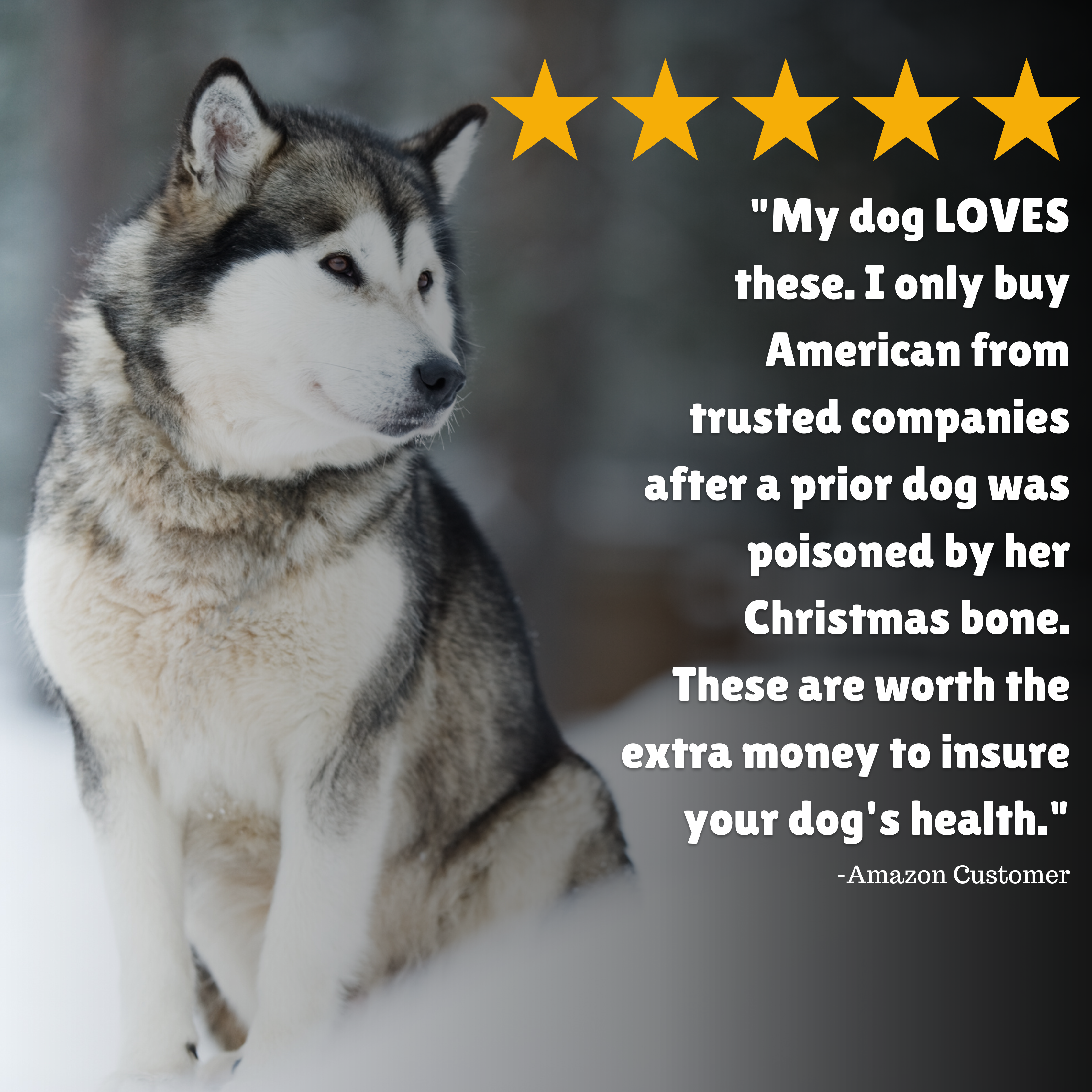 Reviews + Customer Testimony + Treats + Long lasting + Highly recommend  