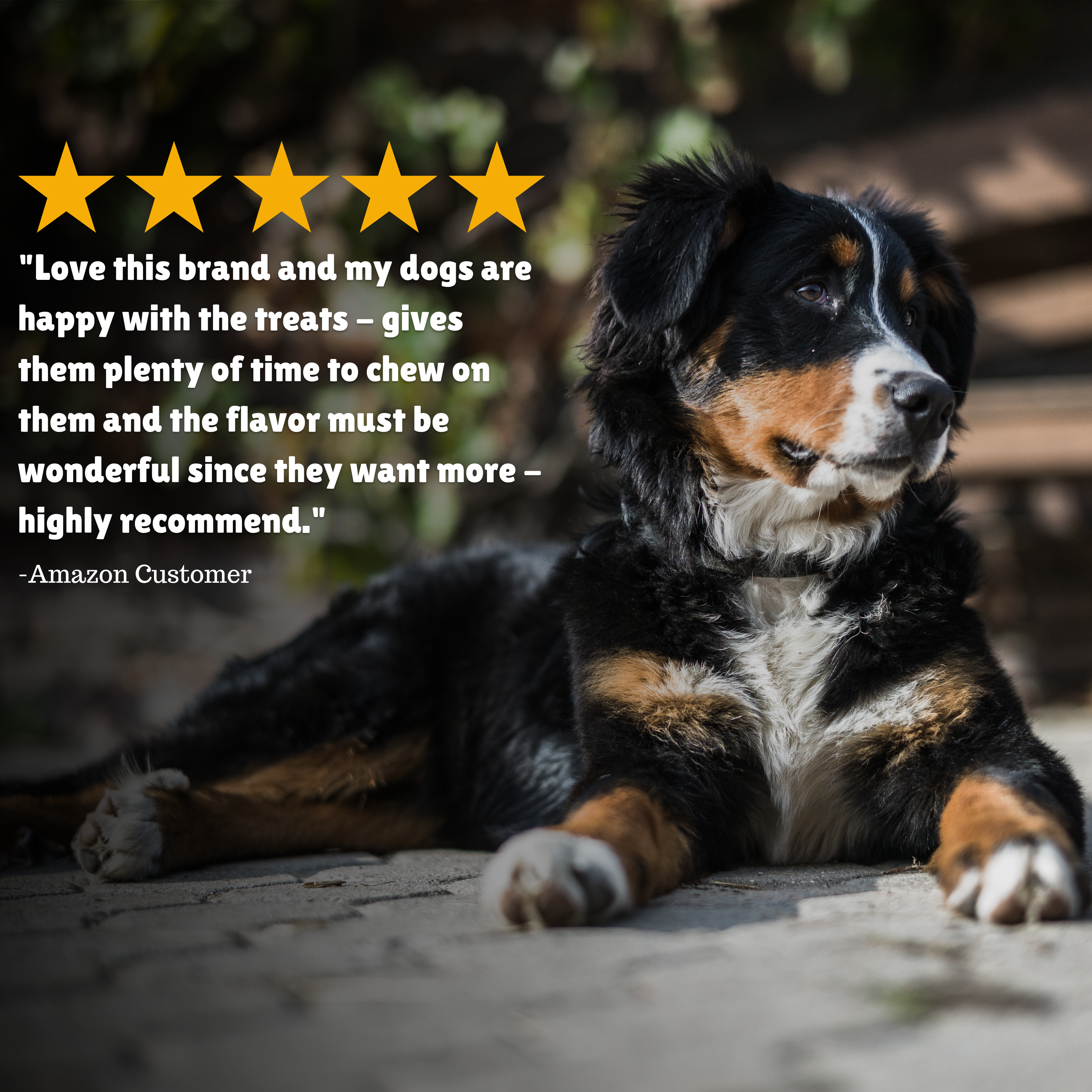 Reviews + Customer Testimony + Treats + Long lasting + Highly recommend 