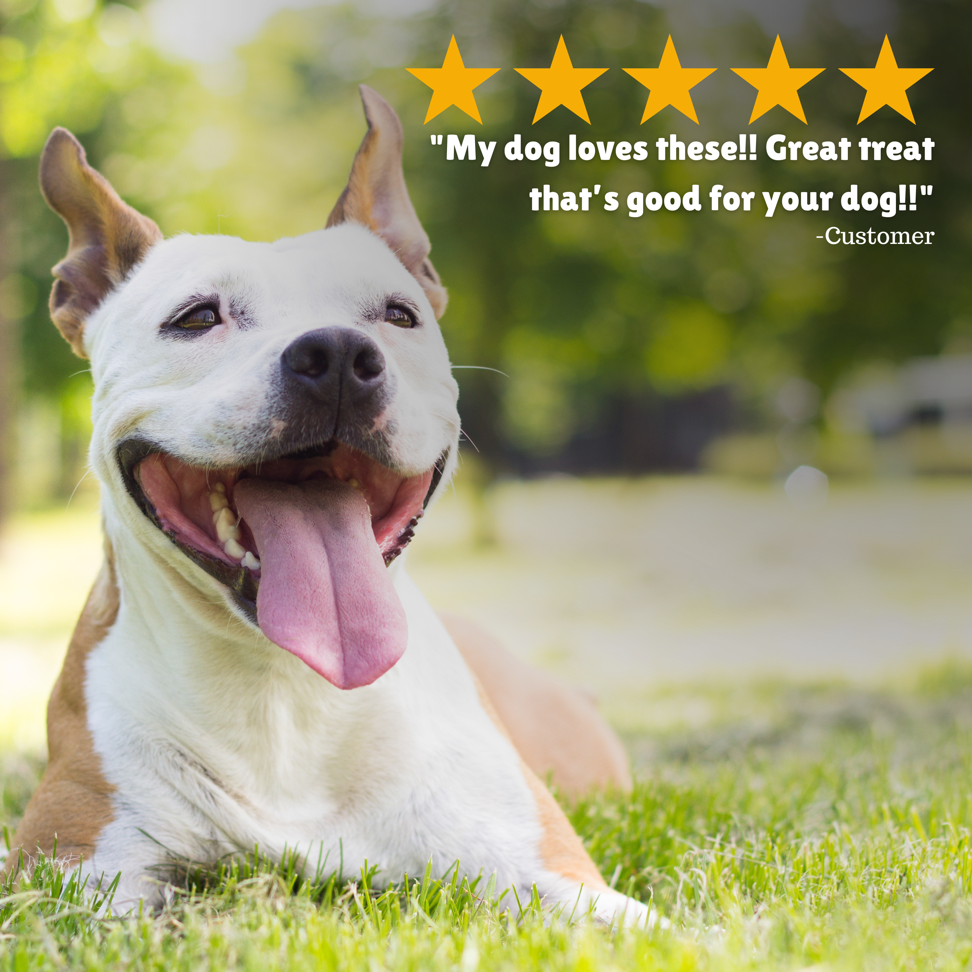  Reviews + Customer Testimony + Treats + Long lasting + Highly recommend  