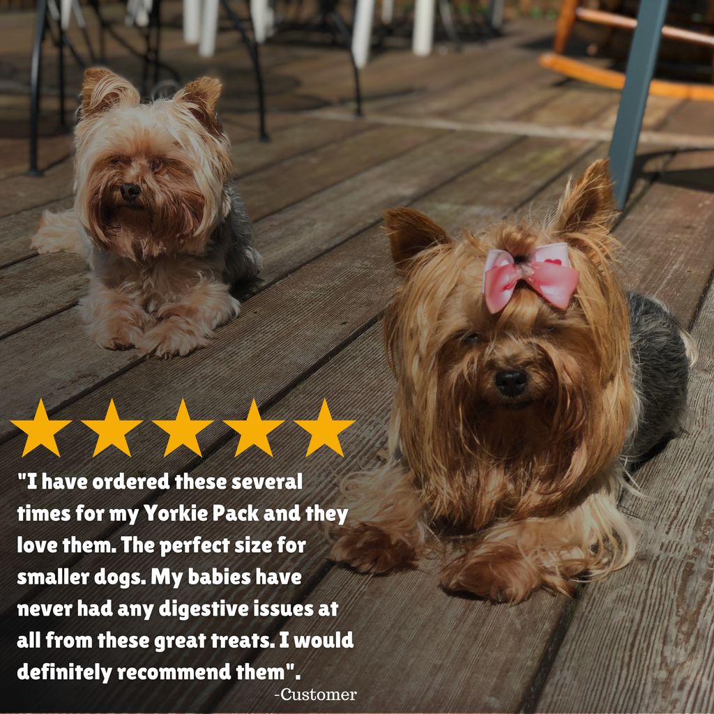 Reviews + Customer Testimony + Perfect size + Great Treats 