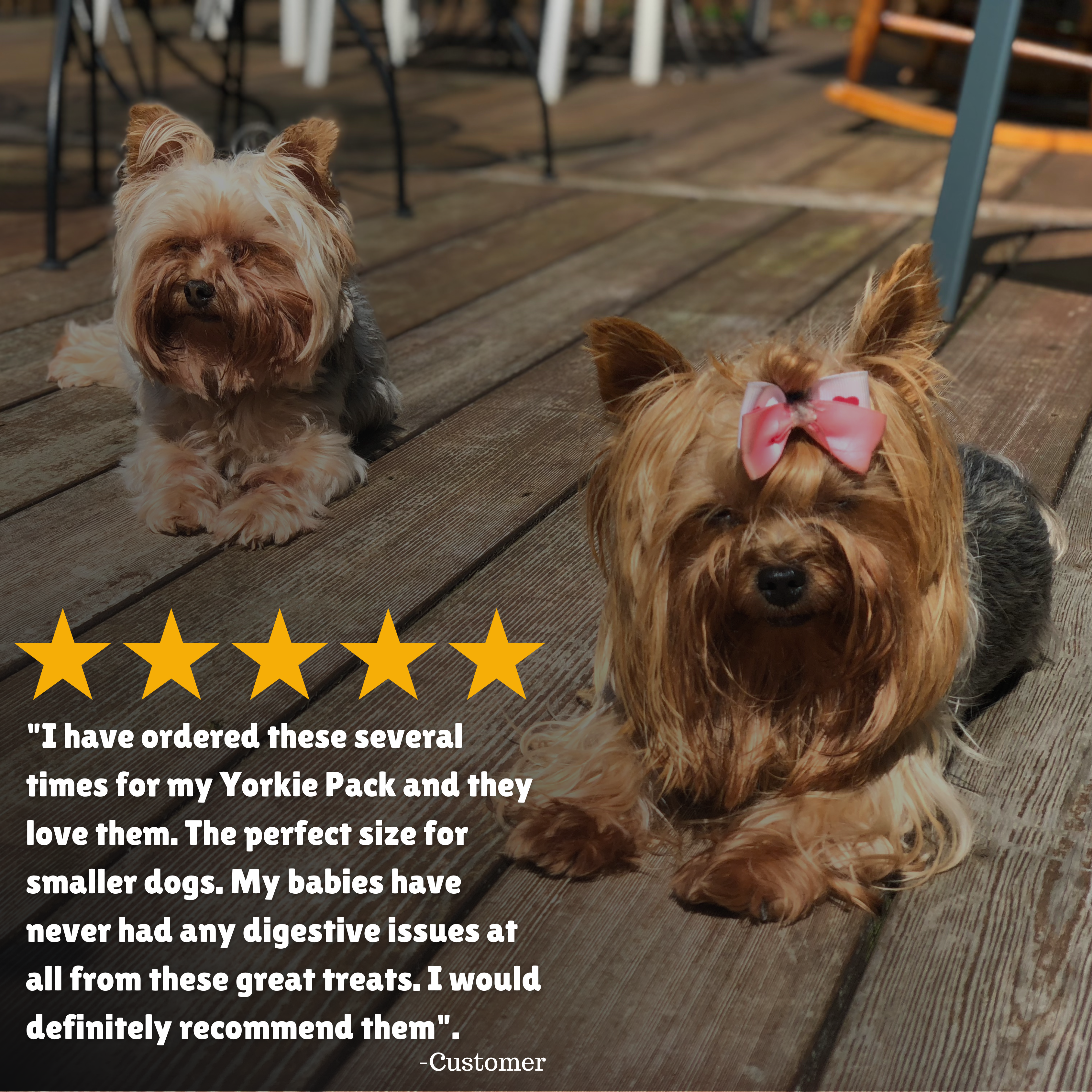 Reviews + Customer Testimony + Perfect size + Great Treats 
