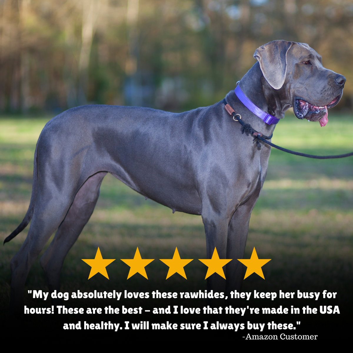 Reviews + Healthy + Made in USA + Treats 