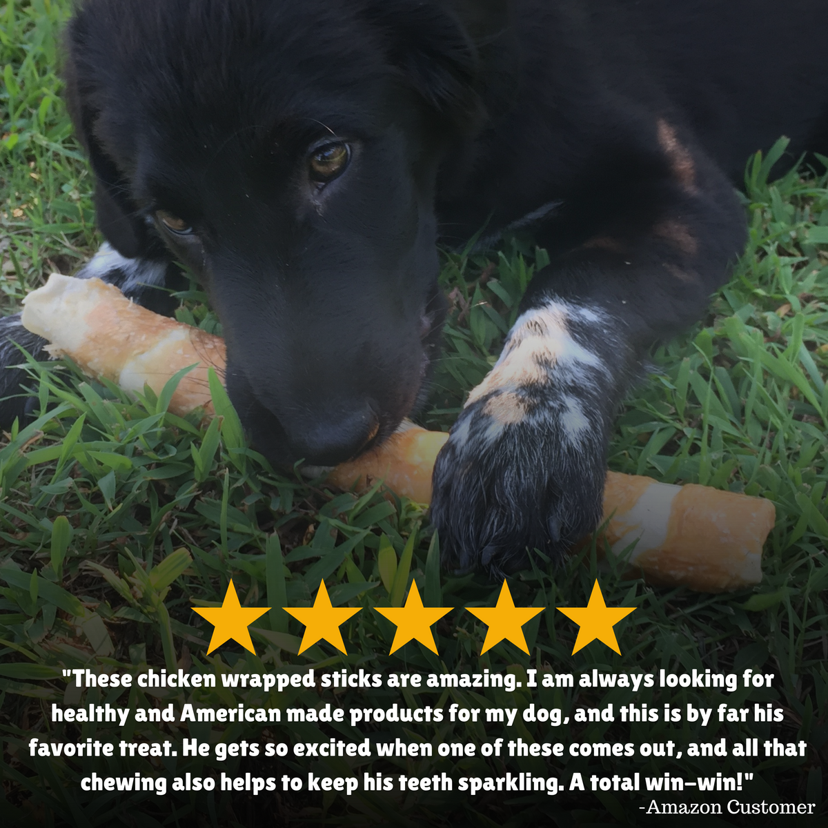Reviews + healthy + Made in America + products + treat + teeth 