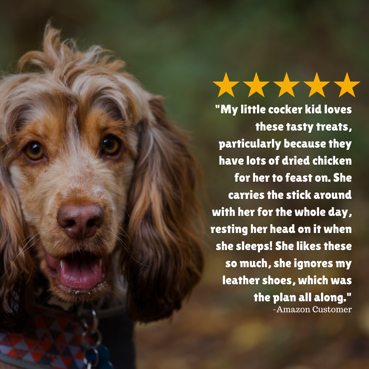 Reviews + Tasty treat + dried chicken