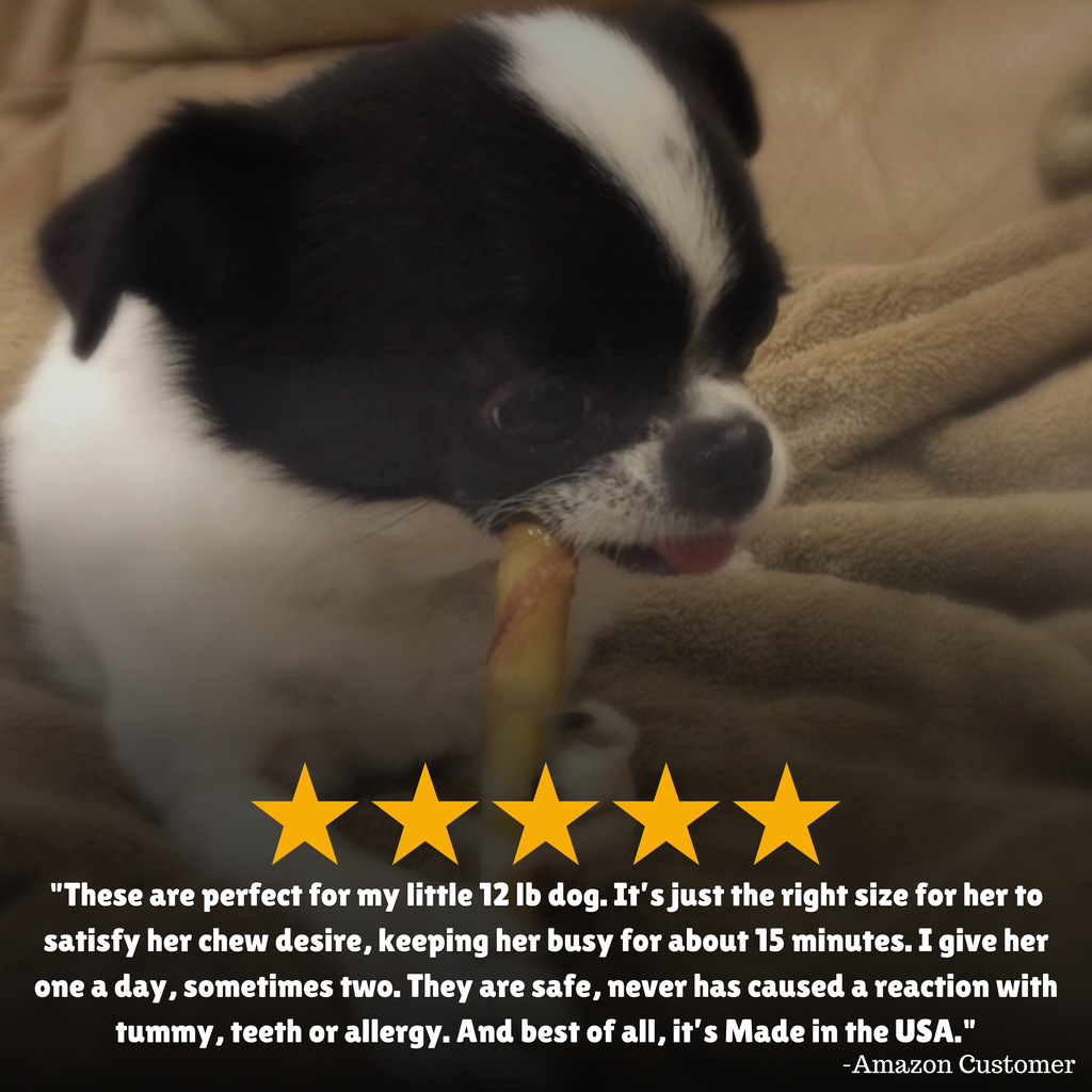 Review + 12 lb dog + 12 pounds + Safe + Made in USA 