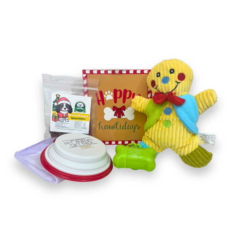 Holiday Dog Gift Boxes with Treats & Accessories