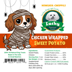 Spooktacular Halloween Dog Box with Treats & Accessories