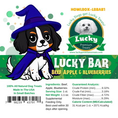 Spooktacular Halloween Dog Box with Treats & Accessories