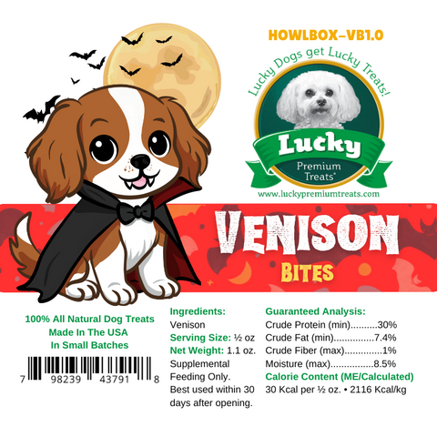 Spooktacular Halloween Dog Box with Treats & Accessories