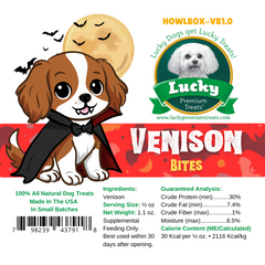 Spooktacular Halloween Dog Box with Treats & Accessories