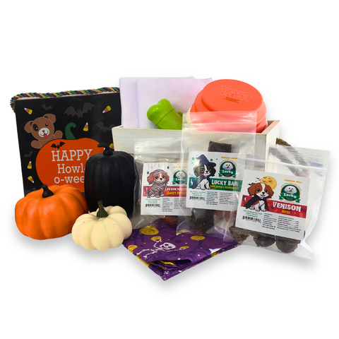 Spooktacular Halloween Dog Box with Treats & Accessories