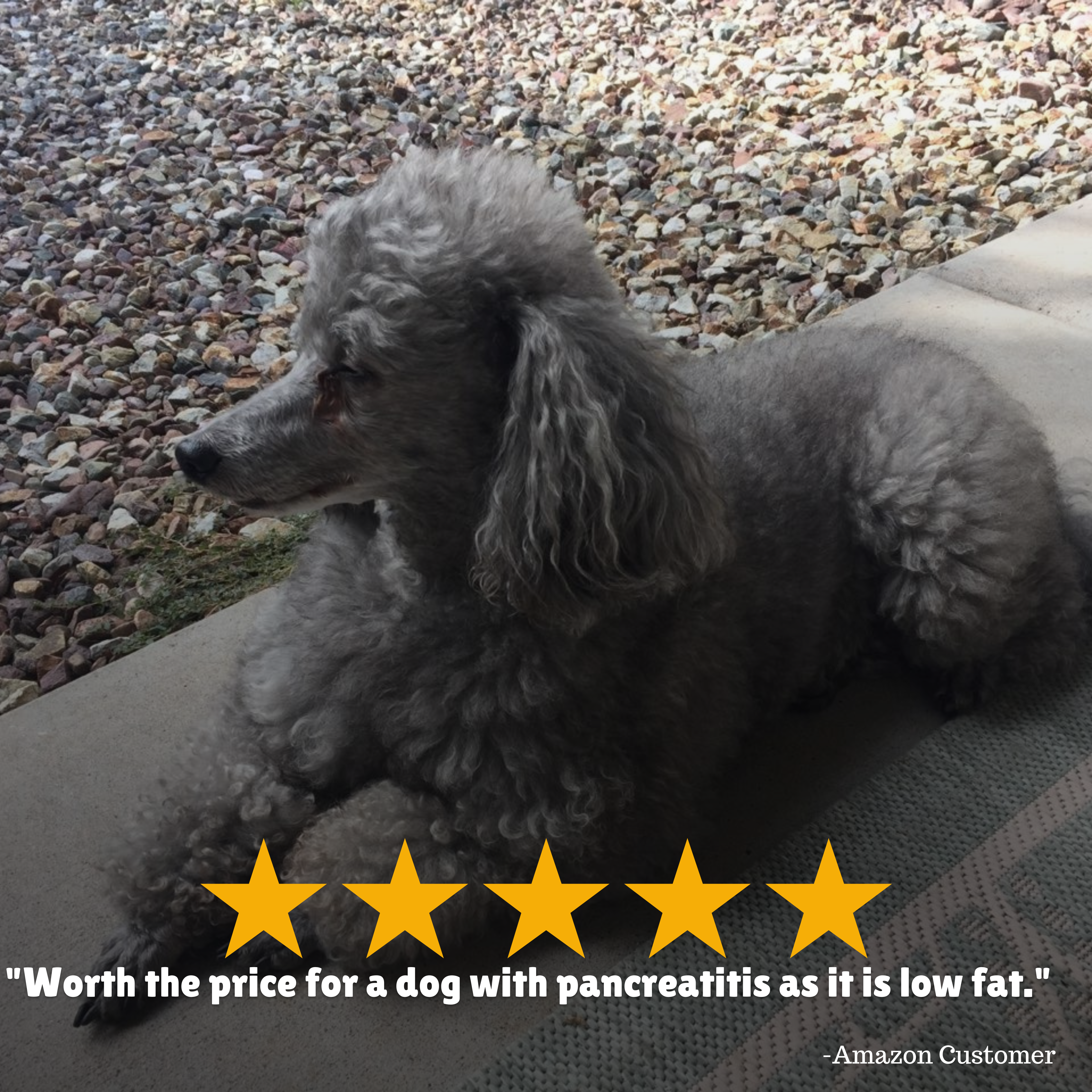 Reviews + Customer Testimony + Treats + Long lasting + Highly recommend  