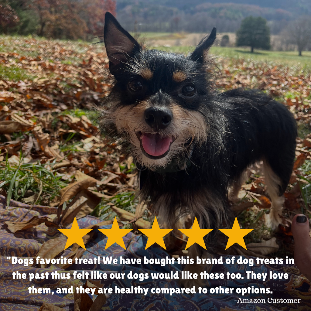 Reviews + Customer Testimony + Treats + Long lasting + Highly recommend  