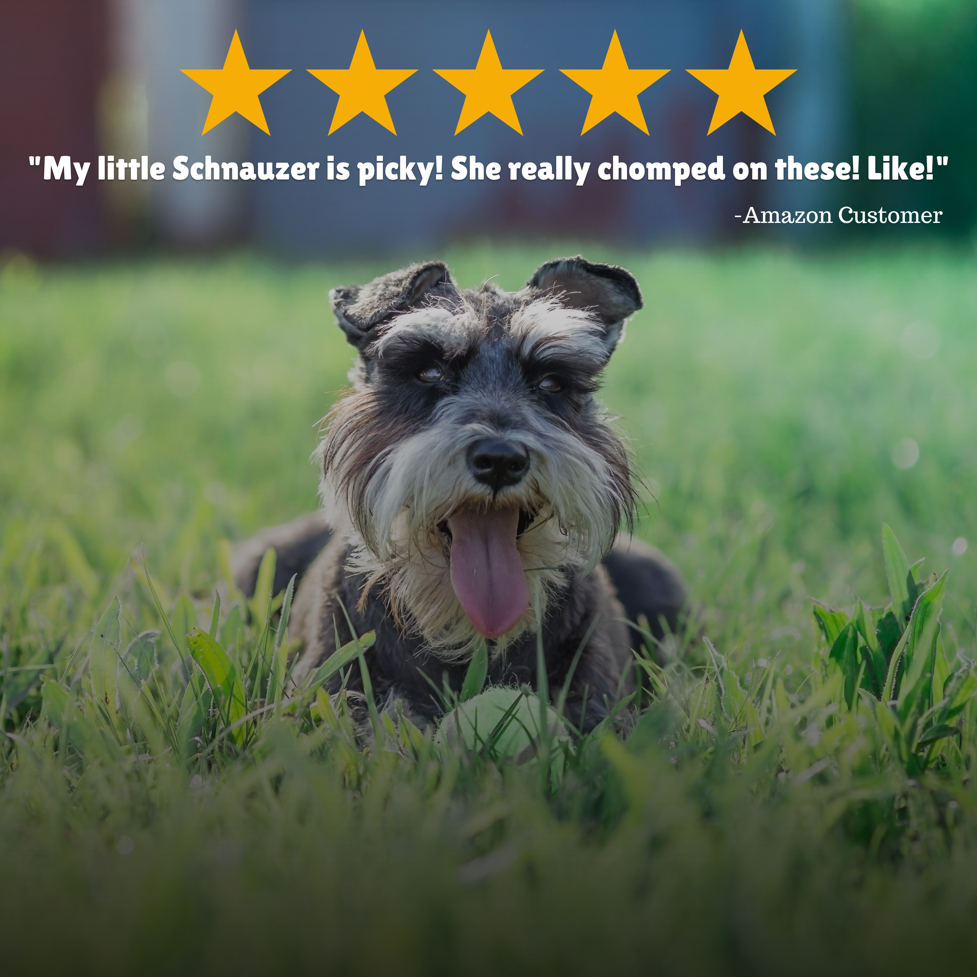  Reviews + Customer Testimony + Treats + Long lasting + Highly recommend  