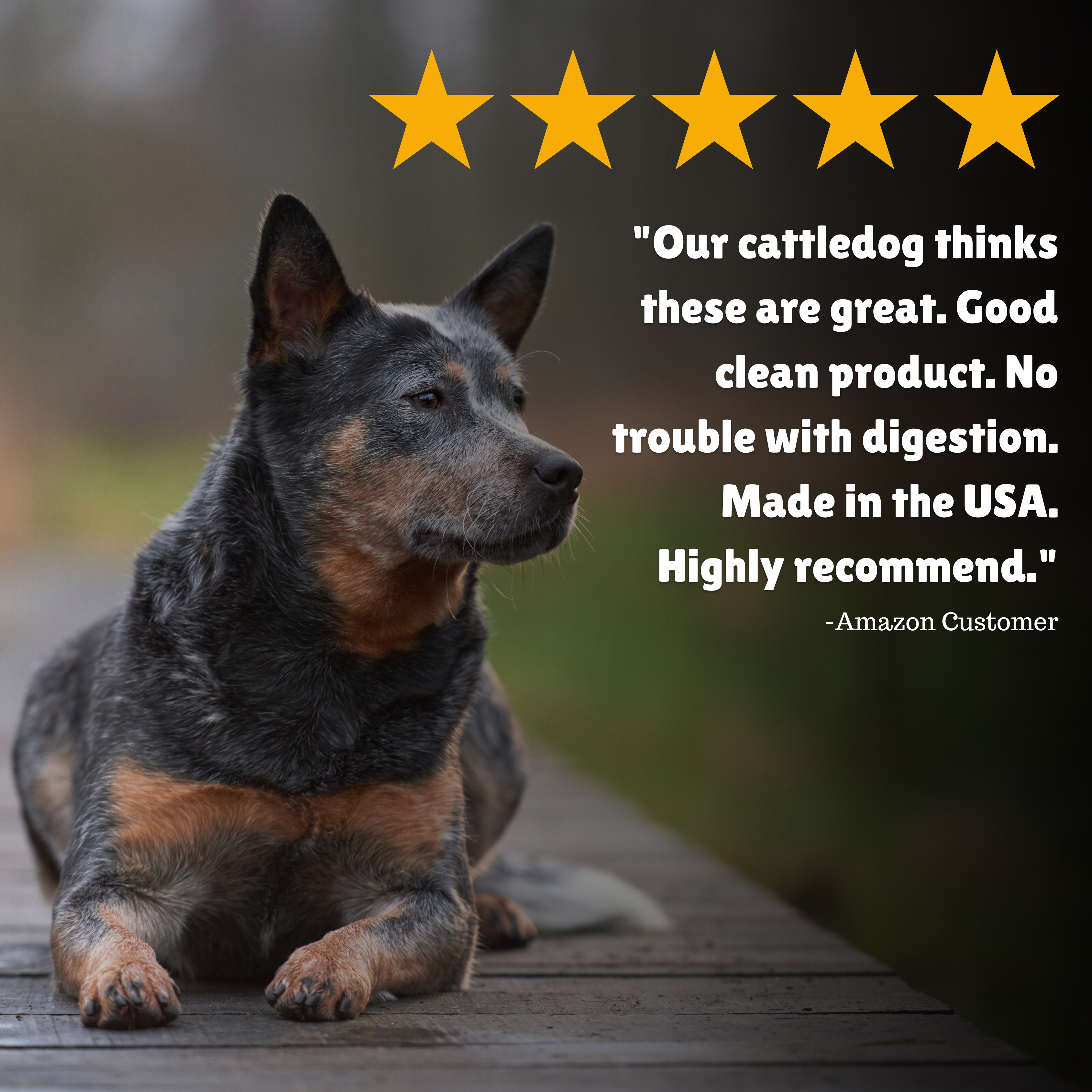 Reviews + Customer Testimony + Treats + Long lasting + Highly recommend  